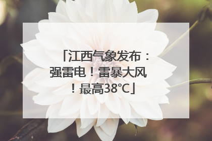 江西气象发布：强雷电！雷暴大风！最高38℃