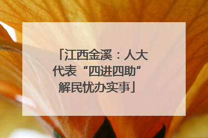 江西金溪：人大代表“四进四助”解民忧办实事