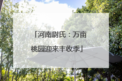 河南尉氏：万亩桃园迎来丰收季