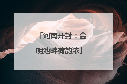 河南开封：金明池畔荷韵浓