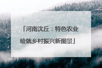 河南沈丘：特色农业绘就乡村振兴新图景