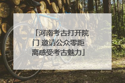 河南考古打开院门 邀请公众零距离感受考古魅力