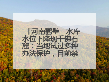 河南鹤壁一水库水位下降现千佛石窟：当地试过多种办法保护，目前禁止打卡