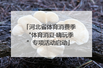 河北省体育消费季“体育消夏·嗨玩季”专项活动启动