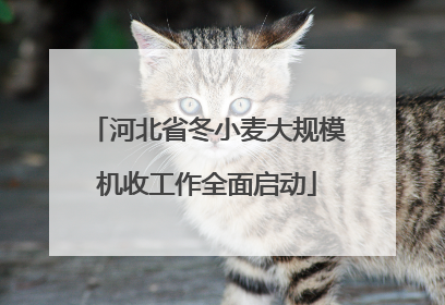 河北省冬小麦大规模机收工作全面启动