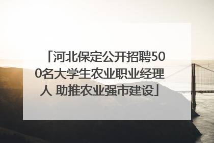 河北保定公开招聘500名大学生农业职业经理人 助推农业强市建设