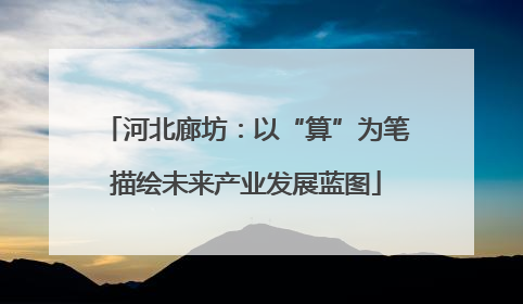 河北廊坊：以“算”为笔描绘未来产业发展蓝图