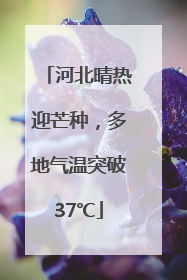 河北晴热迎芒种，多地气温突破37℃