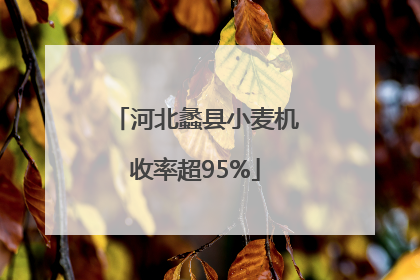 河北蠡县小麦机收率超95%