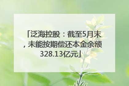 泛海控股：截至5月末，未能按期偿还本金余额328.13亿元