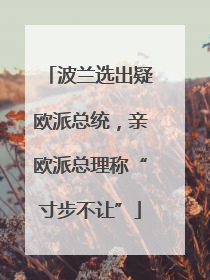 波兰选出疑欧派总统，亲欧派总理称“寸步不让”