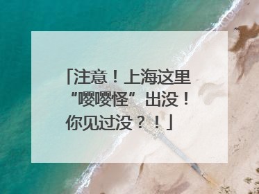 注意！上海这里“嘤嘤怪”出没！你见过没？！
