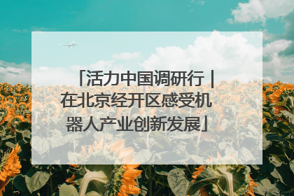 活力中国调研行｜在北京经开区感受机器人产业创新发展