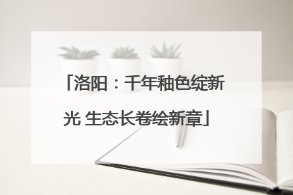 洛阳：千年釉色绽新光 生态长卷绘新章