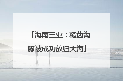 海南三亚：糙齿海豚被成功放归大海