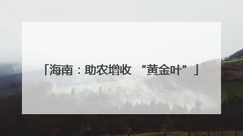 海南：助农增收 “黄金叶”