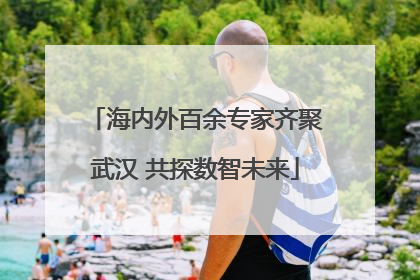 海内外百余专家齐聚武汉 共探数智未来