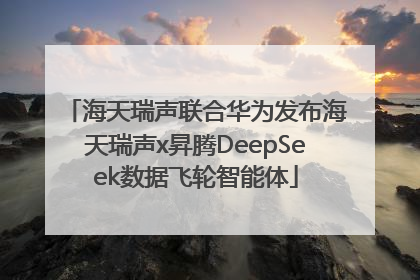 海天瑞声联合华为发布海天瑞声x昇腾DeepSeek数据飞轮智能体
