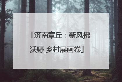 济南章丘：新风拂沃野 乡村展画卷