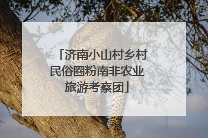 济南小山村乡村民俗圈粉南非农业旅游考察团