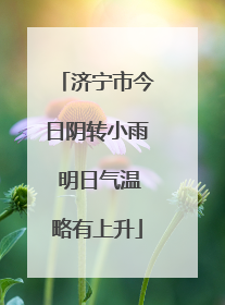 济宁市今日阴转小雨 明日气温略有上升