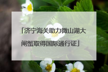 济宁海关助力微山湖大闸蟹取得国际通行证