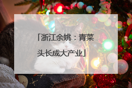 浙江余姚：青菜头长成大产业