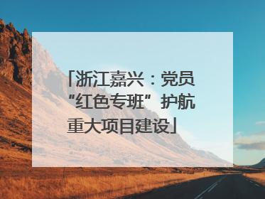 浙江嘉兴：党员“红色专班”护航重大项目建设