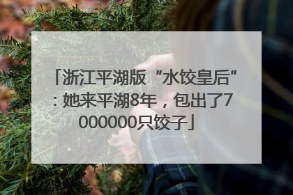 浙江平湖版“水饺皇后”：她来平湖8年，包出了7000000只饺子