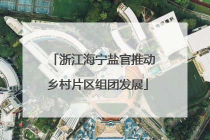 浙江海宁盐官推动乡村片区组团发展