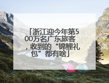 浙江迎今年第500万名广东旅客，收到的“锦鲤礼包”都有啥