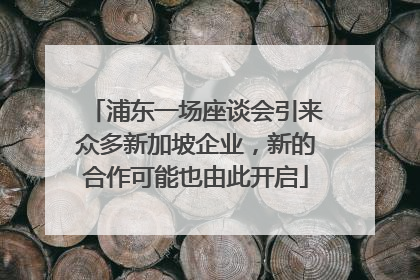 浦东一场座谈会引来众多新加坡企业，新的合作可能也由此开启