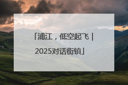 浦江，低空起飞｜2025对话街镇