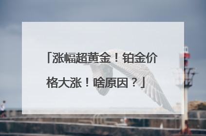 涨幅超黄金！铂金价格大涨！啥原因？