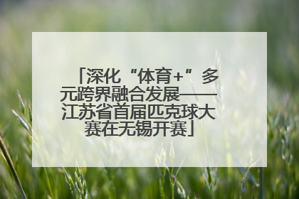 深化“体育+”多元跨界融合发展——江苏省首届匹克球大赛在无锡开赛