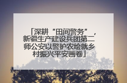 深耕“田间警务”，新疆生产建设兵团第二师公安以警护农绘就乡村振兴平安画卷