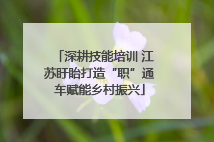 深耕技能培训 江苏盱眙打造“职”通车赋能乡村振兴