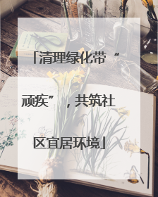 清理绿化带“顽疾”，共筑社区宜居环境