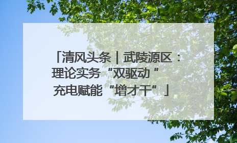清风头条｜武陵源区：理论实务“双驱动 ” 充电赋能“增才干”