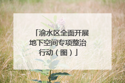 渝水区全面开展地下空间专项整治行动（图）