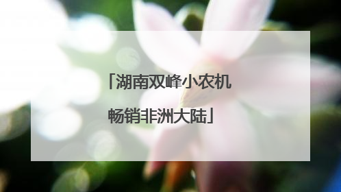 湖南双峰小农机畅销非洲大陆