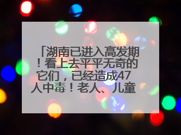 湖南已进入高发期！看上去平平无奇的它们，已经造成47人中毒！老人、儿童是高发人群