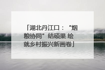 湖北丹江口：“烟粮协同”结硕果 绘就乡村振兴新画卷