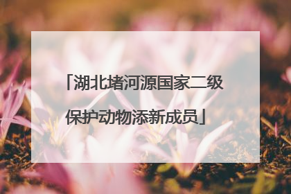 湖北堵河源国家二级保护动物添新成员