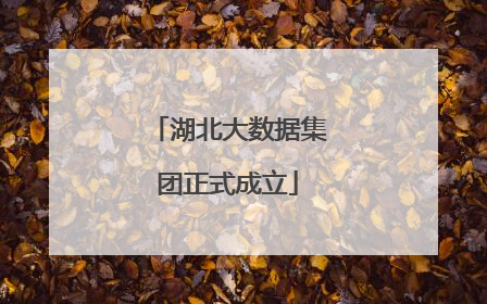 湖北大数据集团正式成立