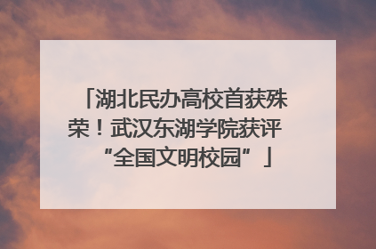 湖北民办高校首获殊荣！武汉东湖学院获评“全国文明校园”