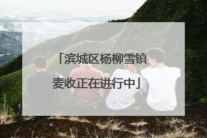 滨城区杨柳雪镇麦收正在进行中