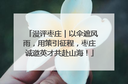 漫评枣庄｜以伞遮风雨，用策引征程，枣庄诚邀英才共赴山海！