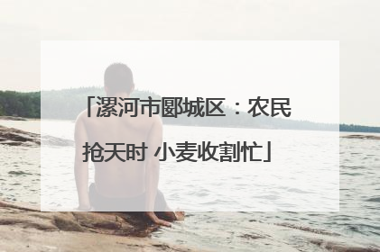 漯河市郾城区：农民抢天时 小麦收割忙