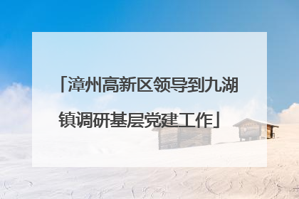 漳州高新区领导到九湖镇调研基层党建工作